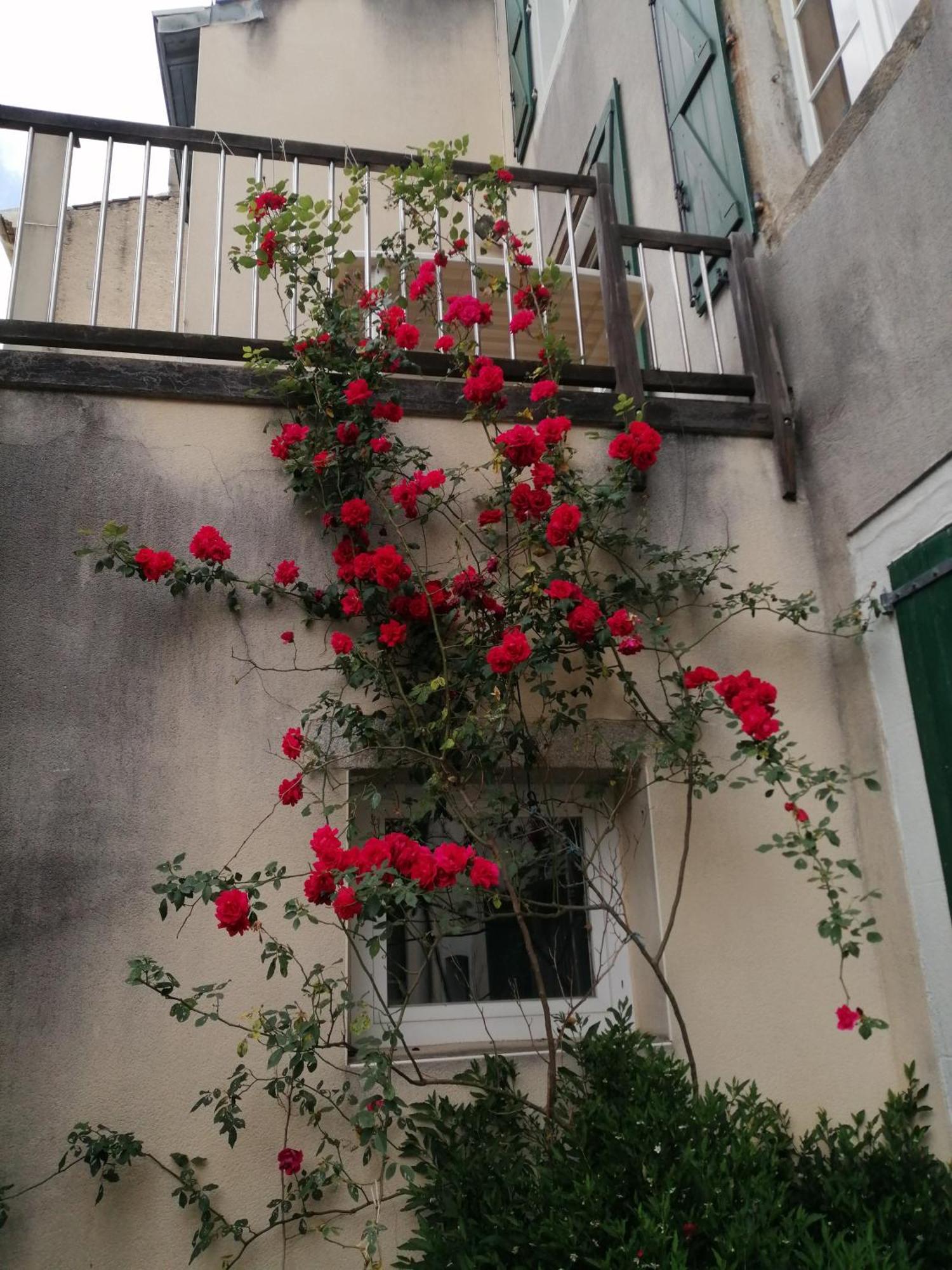 מזמה Maison Alba La Source מראה חיצוני תמונה